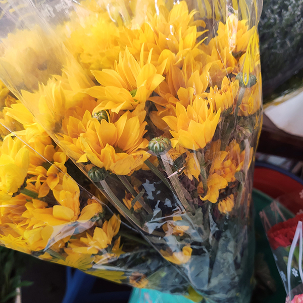 Combo trái cây và hoa mai cam